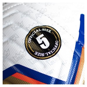 Nike Premier League Academy Football