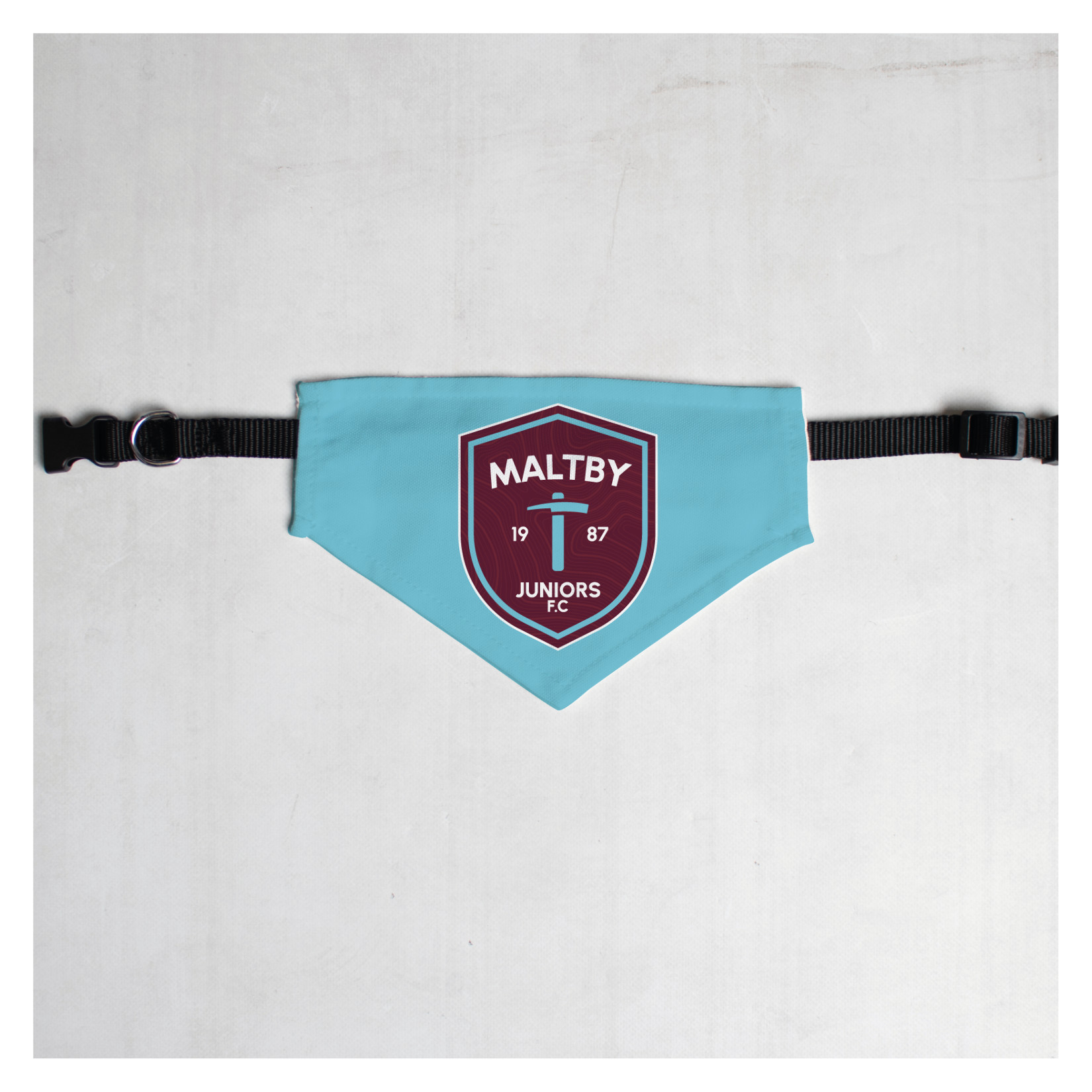 Pet Bandana with Black Collar