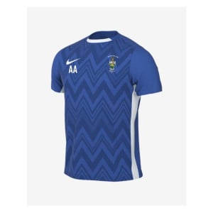 Nike Dri-FIT Challenge V Jersey