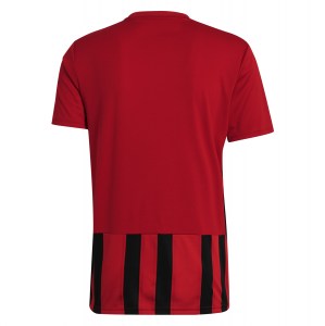 Adidas Striped 21 Jersey