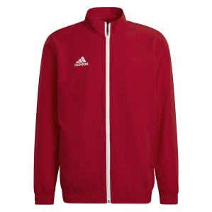 adidas Entrada 22 Presentation Jacket Team Power Red