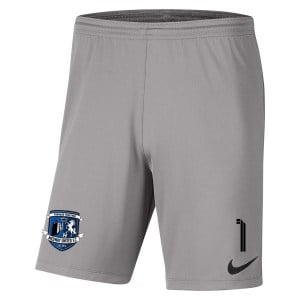 Nike Dri-FIT Park III Shorts Pewter Grey-Black