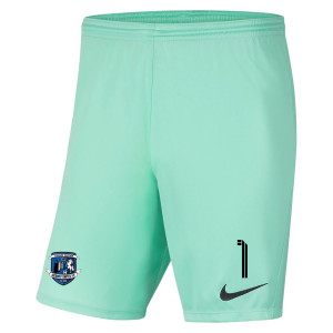 Nike Park III Shorts Hyper Turq-Black