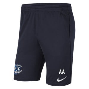 Nike Park 20 Dri-FIT Pocketed Training Shorts (M)