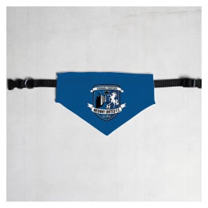 Pet Bandana with Black Collar