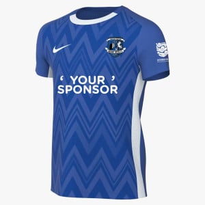 Nike Dri-FIT Challenge V Jersey