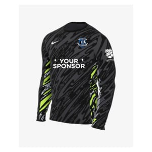 Nike Dri-Fit Gardien V Goalkeeper LS Jersey