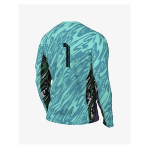 Nike Dri-Fit Gardien V Goalkeeper LS Jersey Hyper Turquiose-Nebula-White