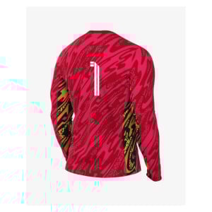 Nike Dri-Fit Gardien V Goalkeeper LS Jersey