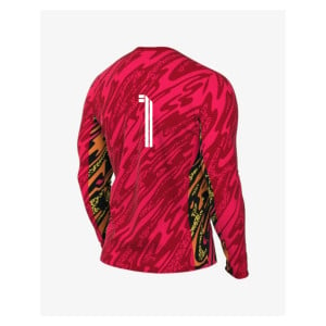 Nike Dri-Fit Gardien V Goalkeeper LS Jersey