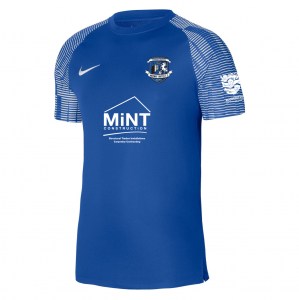 Nike Academy Short Sleeve Jersey - Royal Blue/White/White