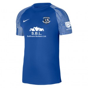 Nike Academy Short Sleeve Jersey - Royal Blue/White/White