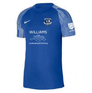 Nike Academy Short Sleeve Jersey - Royal Blue/White/White