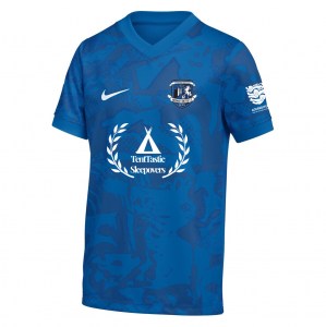 Nike Dri-FIT Precision VII Jersey - Royal Blue/Obsidian/Obsidian/White