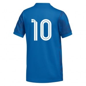 Nike Dri-FIT Precision VII Jersey - Royal Blue/Obsidian/Obsidian/White