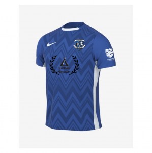 Nike Dri-FIT Challenge V Jersey - Royal Blue/White