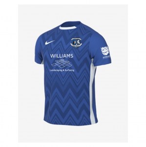 Nike Dri-FIT Challenge V Jersey - Royal Blue/White