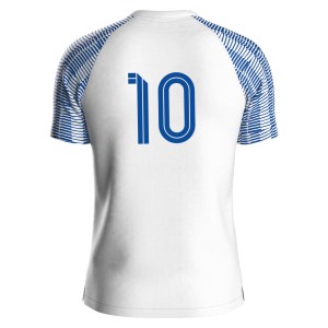 Nike Academy Short Sleeve Jersey - White/Royal Blue/Royal Blue