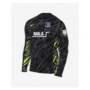 Nike Dri-Fit Gardien V Goalkeeper LS Jersey - Anthracite/Black/White