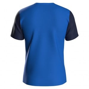 Nike Dri-FIT Trophy 5 Jersey - Royal Blue/Midnight Navy/White