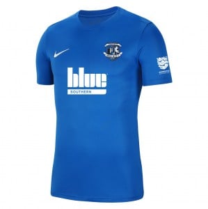 Nike Park VII Dri-FIT Short Sleeve Shirt - Royal Blue/White