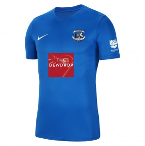 Nike Park VII Dri-FIT Short Sleeve Shirt - Royal Blue/White