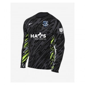 Nike Dri-Fit Gardien V Goalkeeper LS Jersey - Anthracite/Black/White