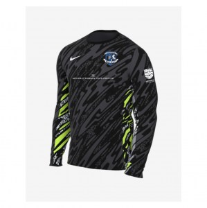 Nike Dri-Fit Gardien V Goalkeeper LS Jersey - Anthracite/Black/White