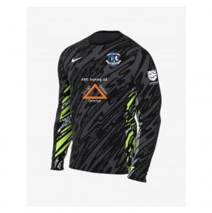 Nike Dri-Fit Gardien V Goalkeeper LS Jersey - Anthracite/Black/White