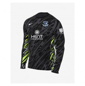 Nike Dri-Fit Gardien V Goalkeeper LS Jersey - Anthracite/Black/White