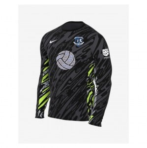 Nike Dri-Fit Gardien V Goalkeeper LS Jersey - Anthracite/Black/White