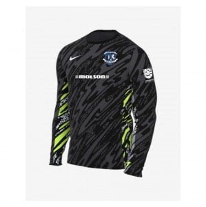 Nike Dri-Fit Gardien V Goalkeeper LS Jersey - Anthracite/Black/White