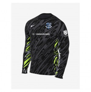 Nike Dri-Fit Gardien V Goalkeeper LS Jersey - Anthracite/Black/White