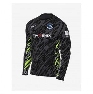 Nike Dri-Fit Gardien V Goalkeeper LS Jersey - Anthracite/Black/White