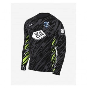 Nike Dri-Fit Gardien V Goalkeeper LS Jersey - Anthracite/Black/White