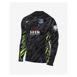 Nike Dri-Fit Gardien V Goalkeeper LS Jersey - Anthracite/Black/White