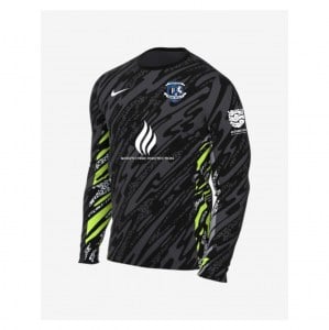 Nike Dri-Fit Gardien V Goalkeeper LS Jersey - Anthracite/Black/White