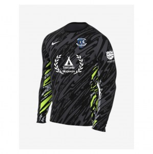 Nike Dri-Fit Gardien V Goalkeeper LS Jersey - Anthracite/Black/White