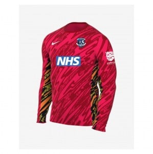 Nike Dri-Fit Gardien V Goalkeeper LS Jersey - Laser Crimson/University Red/White