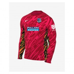 Nike Dri-Fit Gardien V Goalkeeper LS Jersey - Laser Crimson/University Red/White