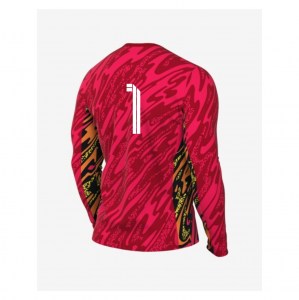Nike Dri-Fit Gardien V Goalkeeper LS Jersey - Laser Crimson/University Red/White