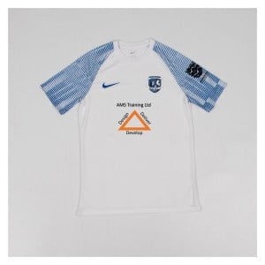 Nike Academy Short Sleeve Jersey - White/Royal Blue/Royal Blue