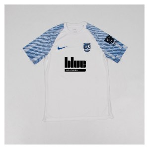 Nike Academy Short Sleeve Jersey - White/Royal Blue/Royal Blue
