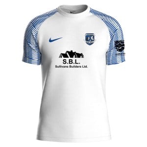 Nike Academy Short Sleeve Jersey - White/Royal Blue/Royal Blue
