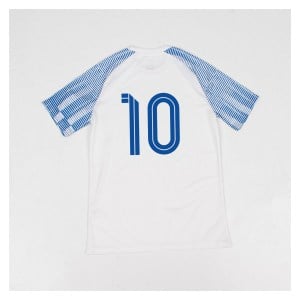 Nike Academy Short Sleeve Jersey - White/Royal Blue/Royal Blue