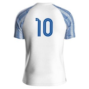 Nike Academy Short Sleeve Jersey - White/Royal Blue/Royal Blue