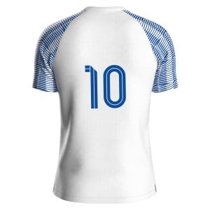 Nike Academy Short Sleeve Jersey - White/Royal Blue/Royal Blue