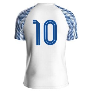 Nike Academy Short Sleeve Jersey - White/Royal Blue/Royal Blue