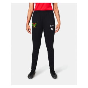 Nike Womens Dri-Fit Academy 23 Pant (W)