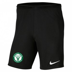 Nike Park III Shorts